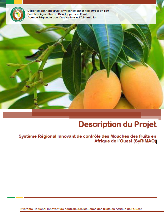 Projet Système Régional Innovant de contrôle des Mouches des fruits en Afrique de l’Ouest (SyRIMAO)