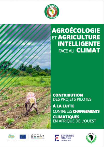 Synthèse grand public de la contribution des projets pilotes AIC/AE soutenues dans le cadre de GCCA+AO à la lutte contre les CC