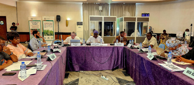 Regional Agency for Agriculture and Food (RAAF): 10 Years Serving the Agricultural Development in West Africa and the Sahel