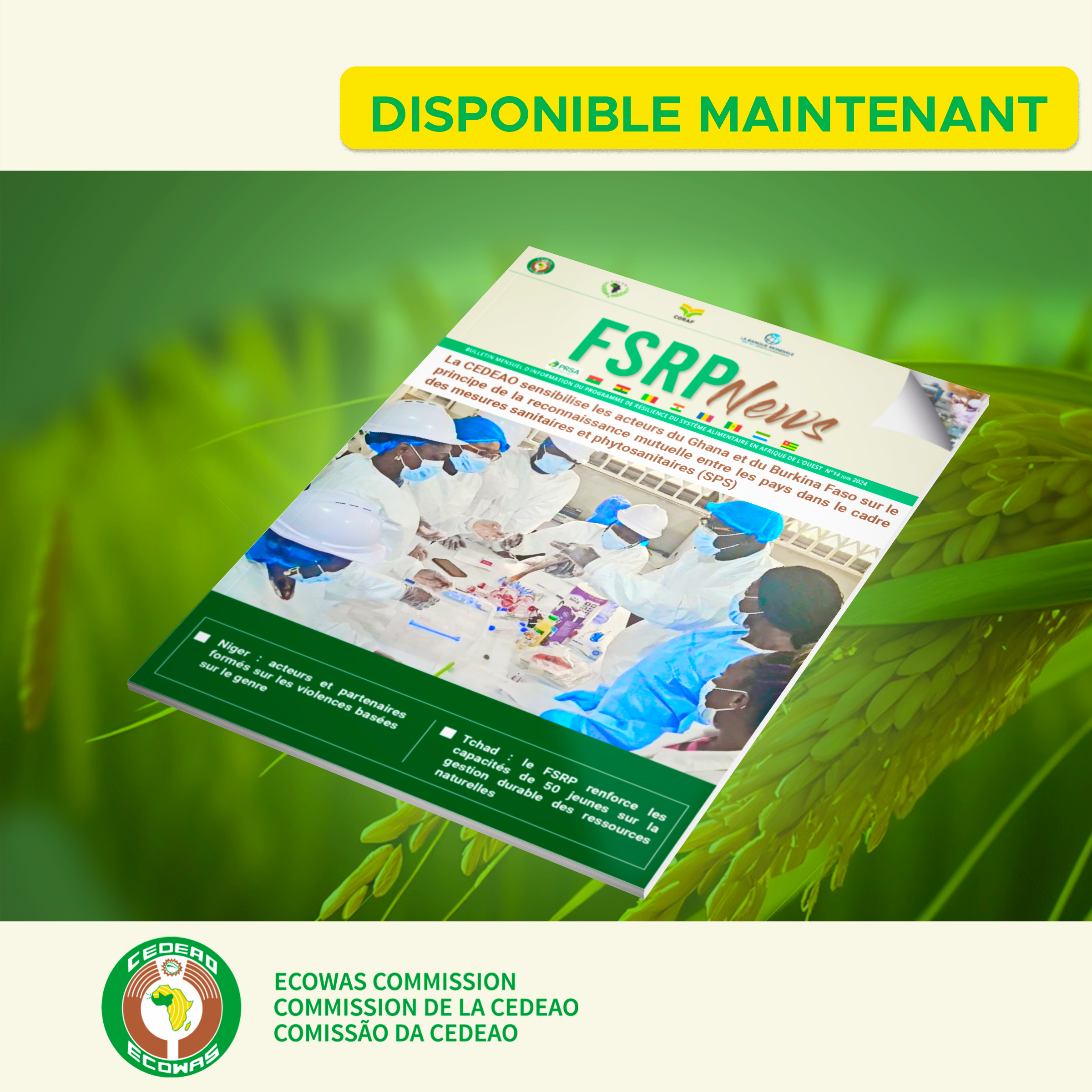 Le N°14 du bulletin mensuel du FSRP pour le mois de juin 2024  est disponible 