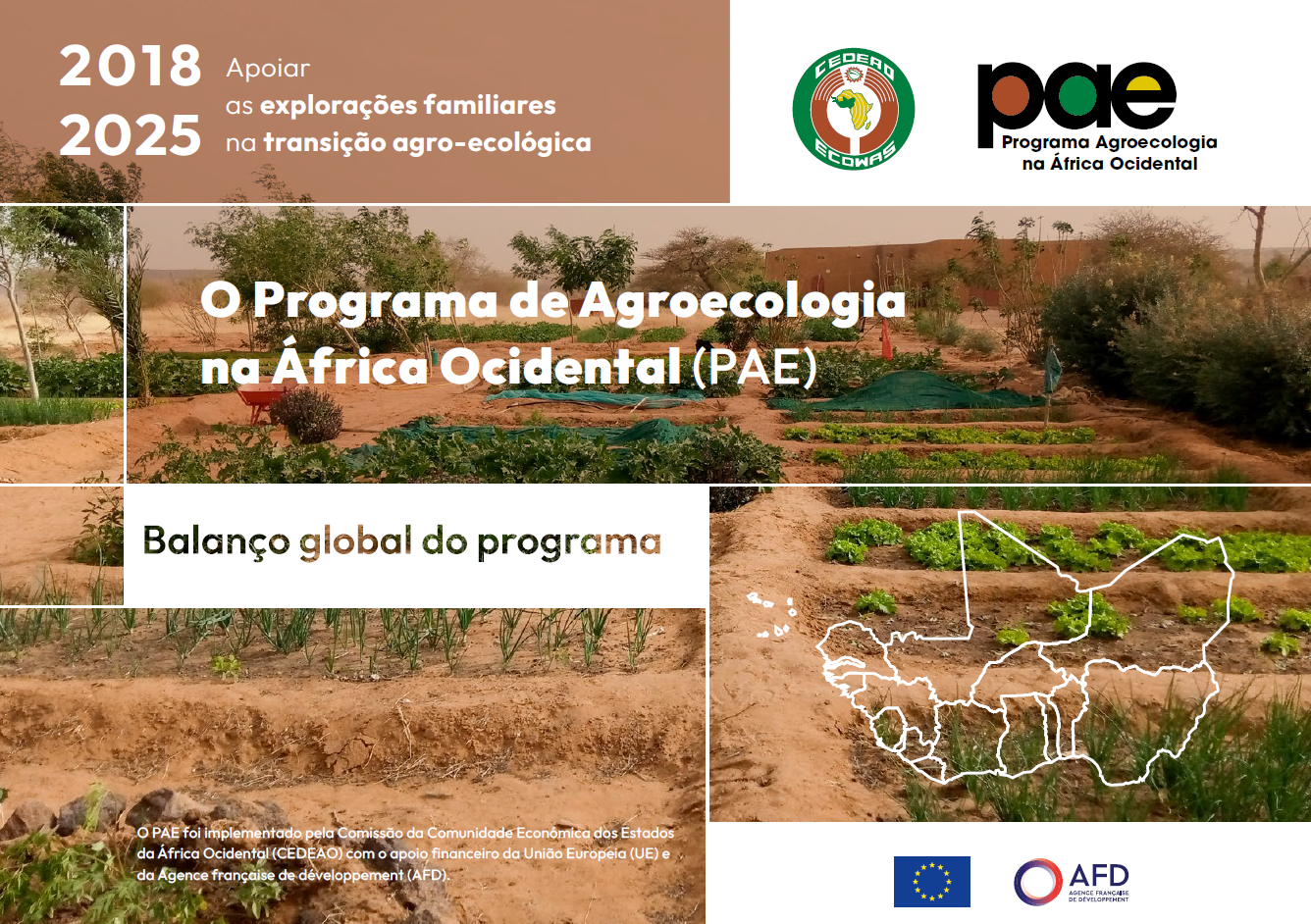 AEP Overall programme assessment