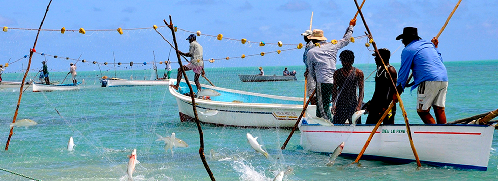 Pêche & acquaculture