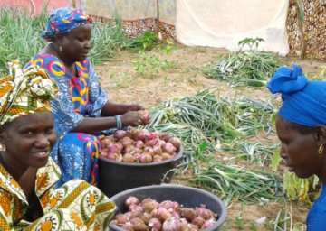 Senegal joins FSRP  Senegal joins FSRP