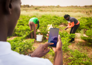 Melhorar o acesso dos produtores à informação agrometeorológica  Melhorar o acesso dos produtores à informação agrometeorológica