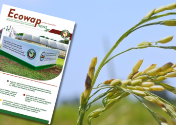 N°14 de votre Bulletin d'information ECOWAP NEWS