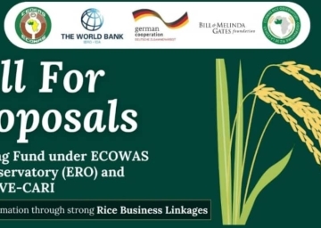 Appel conjoint du Fonds de Contrepartie de l'Observatoire de la CEDEAO sur le riz (ERO) et du projet MOVE-CARI de la GIZ