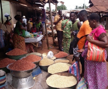 Programme régional d’intégration des marchés agricoles (PRIMA)