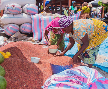 Regional Programme for the Integration of Agricultural Markets (PRIMA)