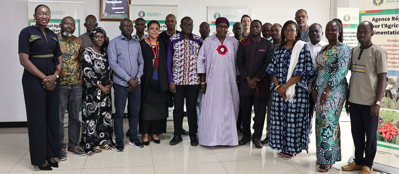 Un partenariat innovant naissant : Le CCDG et l'ARAA veulent unir leurs forces pour promouvoir le genre et le développement agricole en Afrique de l'Ouest