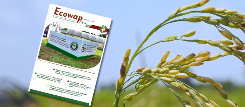 N°14 de votre Bulletin d'information ECOWAP NEWS