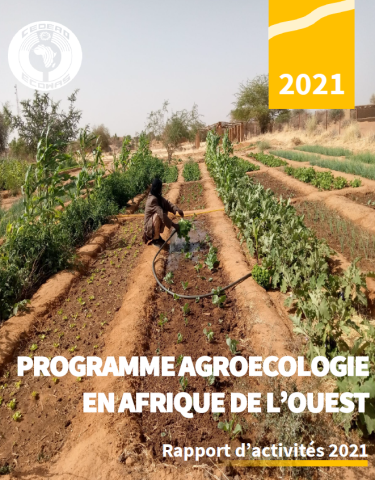 Annual Report 2021 PAE