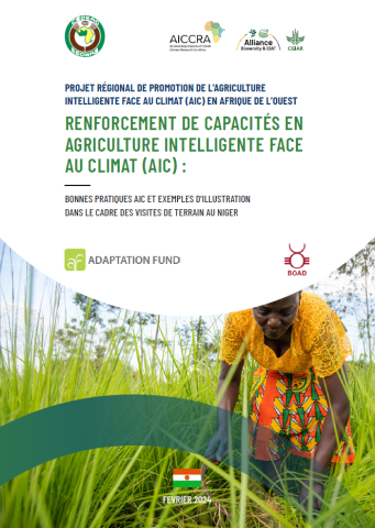 Bonnes pratiques et exemples d’illustration dans le cadre des visites de terrain au Niger Bonnes pratiques et exemples d’illustration dans le cadre des visites de terrain au Niger